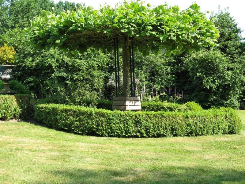 Erfgoedlogies Bed And Breakfast 'T Olde Hof Westervelde Exterior photo